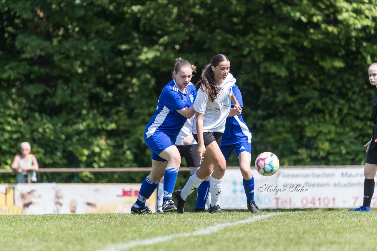 Bild 62 - wBJ VfL Pinneberg - Harksheide : Ergebnis: 2:1